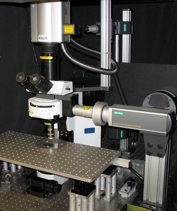 Bio-Rad imaging systrem